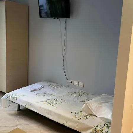 Green Studio Apartment