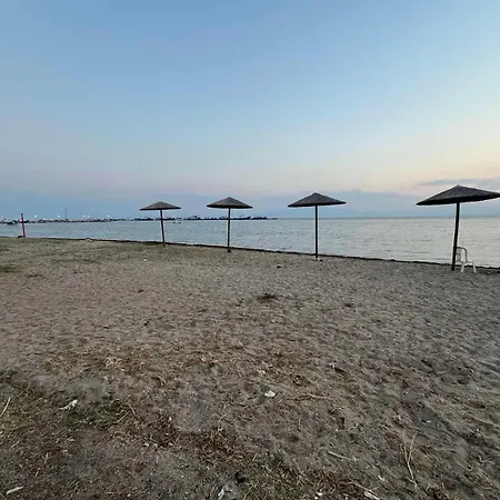 Appartement Green Studio